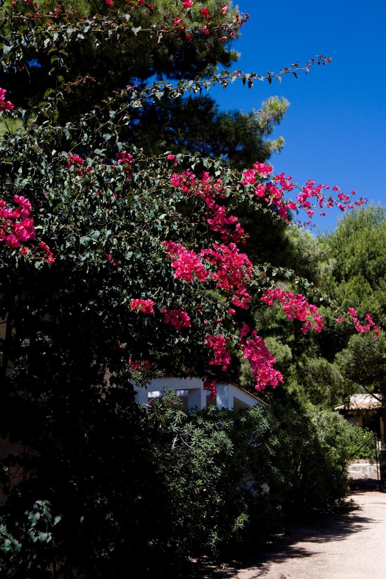 Miramare Residence Favignana Buitenkant foto